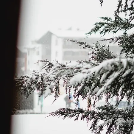 Pensjonat St Anton 365