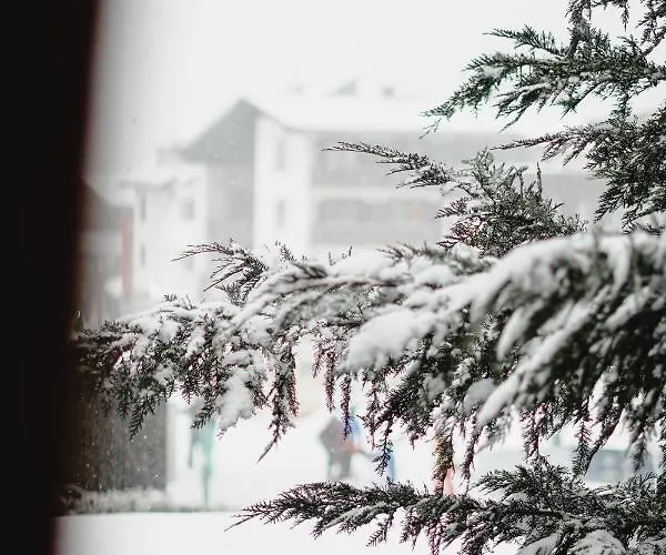 Casa de hóspedes St Anton 365